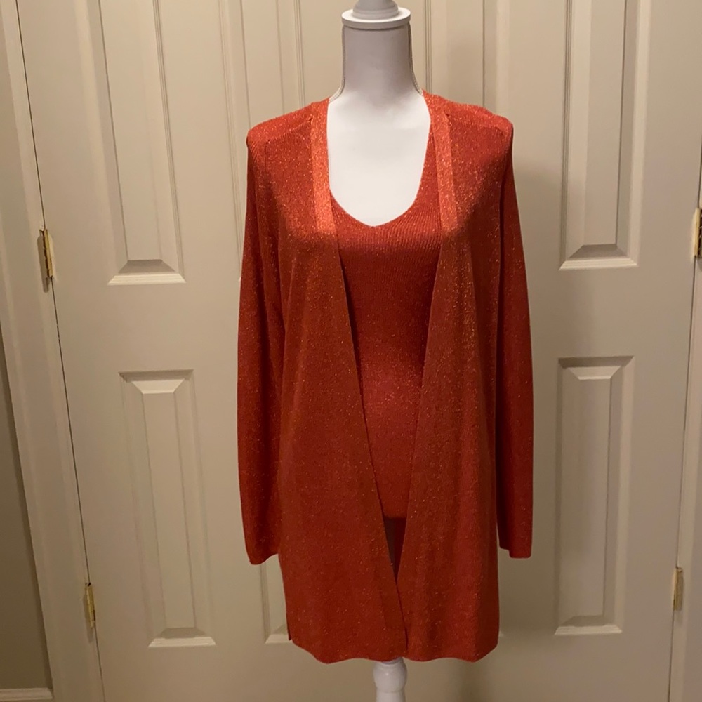 Ann Taylor Sweater Set